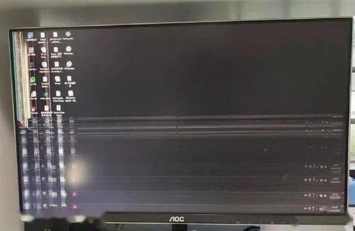 纸枷锁的幽默惩戒，谁家的猫像你一样